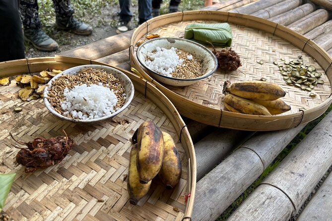 Chiangmai Half Day Visit and Wildlife Experience - Feeding elephants the right way, and staying focused on welfare