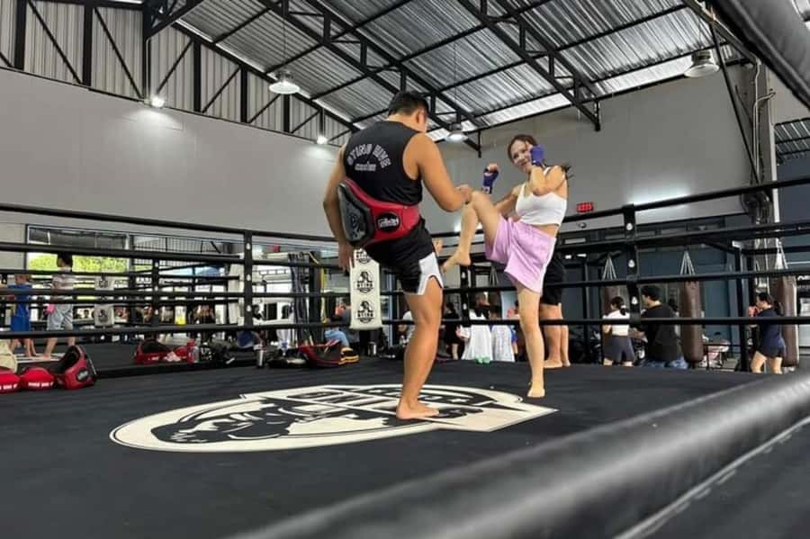 Chiangmai : Muay Thai Training academy - Should you book this StingClub Muay Thai session?