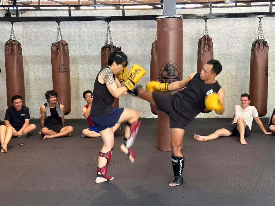 Chiangmai : Muay Thai Training academy - Price and value: is $32 worth it?