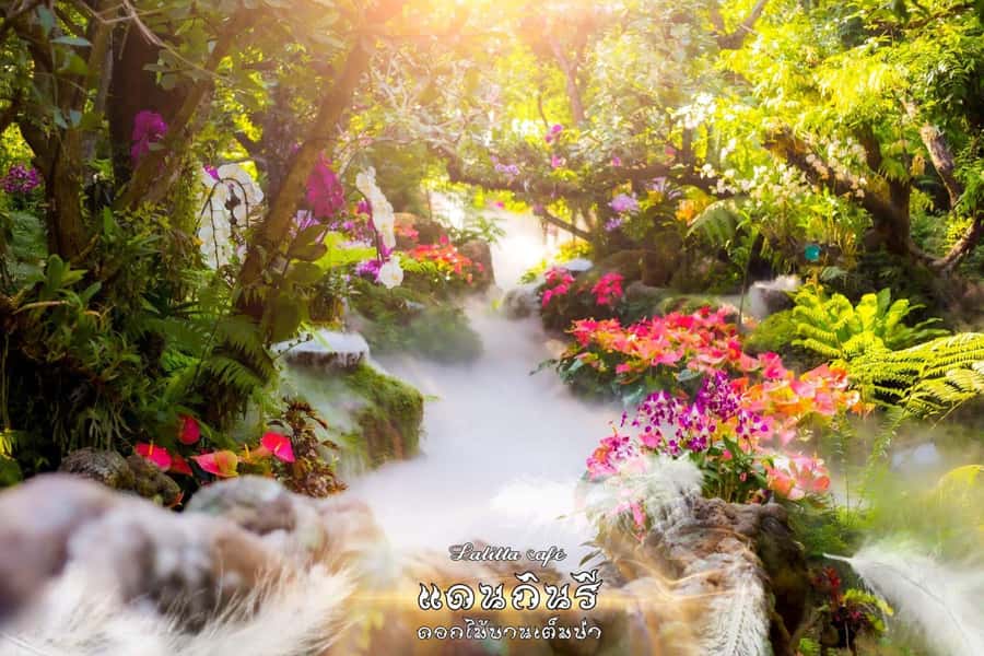 Chiangmai to Chiangrai: 3 Temples, Hot Springs& Lalitta Cafe - Mae Khachan hot springs: a relaxing pause, not a swim session