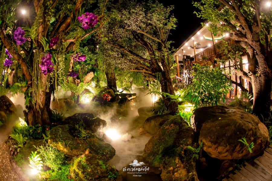 Chiangmai to Chiangrai: 3 Temples, Hot Springs& Lalitta Cafe - Karen Longneck Village option: cultural curiosity, real-world ethics
