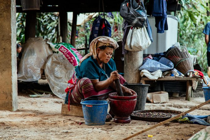 City Escape: Doi Inthanon & Karen Village Private Day Trip - The Ethical Karen Tribe Visit and Easy Trek: Culture You Can Ask About