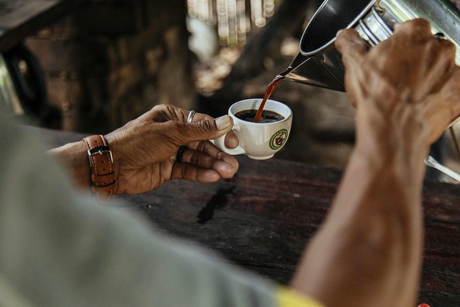 City Escape: Doi Inthanon & Karen Village Private Day Trip - Ban Mae Klang Luang Coffee Experience: The Best “Small Stop” on a Big Day
