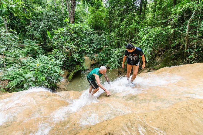 Climb Sticky Waterfall Like a Spiderman - Key highlights you’ll actually care about