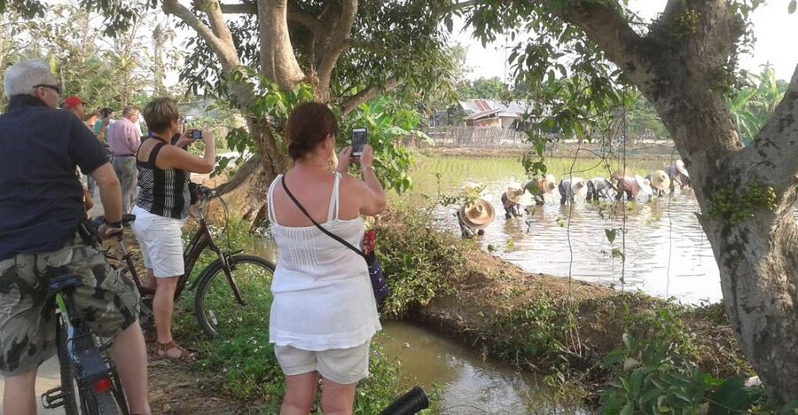 Colors of Chiang Mai Guided Bicycle Tour - Staying safe on Thai roads when you are not a confident rider