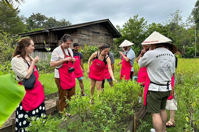 Cooking Class with Organic Farm in Chiang Mai - Key points worth knowing