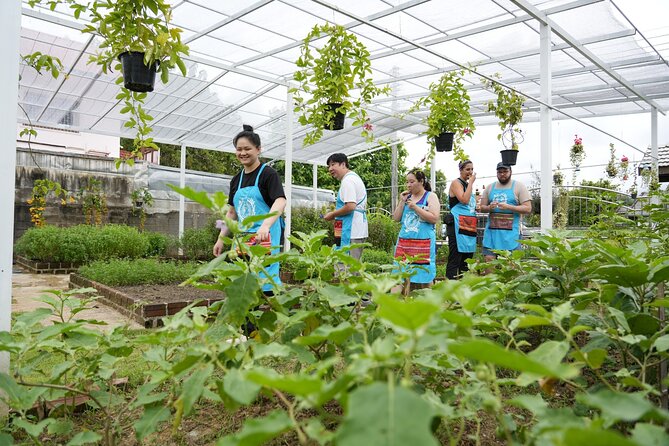 Cooking Class with Organic Farm in Chiang Mai at Mama Noi - Hotel pickup to organic market: where the class starts