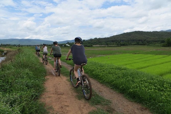 Cycling tour and Buatong waterfall - Bua Thong Waterfalls: hiking, sticky limestone, and a choose-your-own-adventure hour