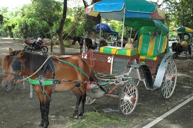Discover Wiang Kum Kam Ancient City with Wat Chiang Man Visit - The horse-drawn carriage ride: classic Chiang Mai, timed well