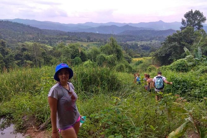 Doi Inthanon Day Trip:Twin Pagodas,Soft Hiking,Coffee Plantation - Why Doi Inthanon Is Worth the Full 11 Hours