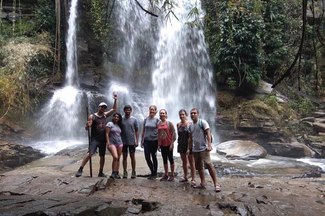 Doi Inthanon Day Trip:Twin Pagodas,Soft Hiking,Coffee Plantation - Kew Mae Pan Trekking: Short Trail, Big Payoff, and Some Real Effort