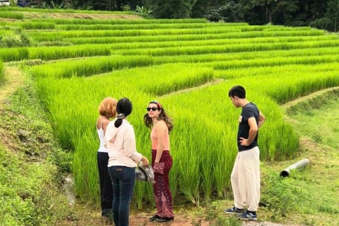 Doi Inthanon Day Trip:Twin Pagodas,Soft Hiking,Coffee Plantation - Passing Through Hilltribe Villages and Craft Market Stalls