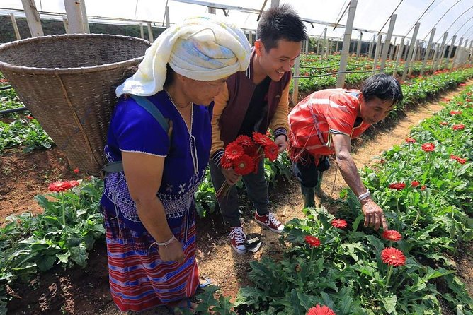 Doi Inthanon Discovery Tour: Waterfalls, Villages & Highest Peak - Getting to Doi Inthanon from Chiang Mai without the stress