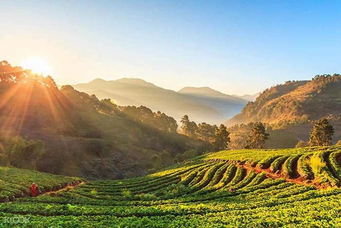 Doi Inthanon Discovery Tour: Waterfalls, Villages & Highest Peak - Wachirathan Waterfall: the payoff at the end of the day