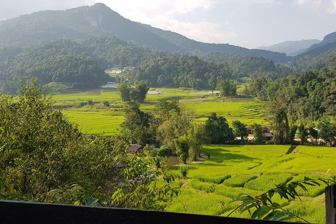 Doi inthanon National Park + 2Hour Fantastic Trekking with Lunch - Hmong Market Stop: Quick Look, Easy Photos, Short Time