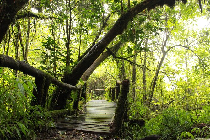 Doi Inthanon National park and 2 hours hiking with private tour - The guide factor: why Paul’s style matters on a full mountain day