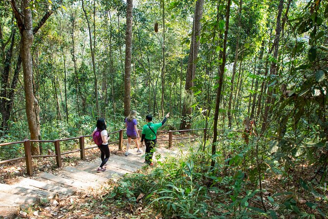 Doi Inthanon National Park Eco-Friendly Full Day Tour - Stop 1 in Doi Inthanon: highest-point sign, forest views, and photo time
