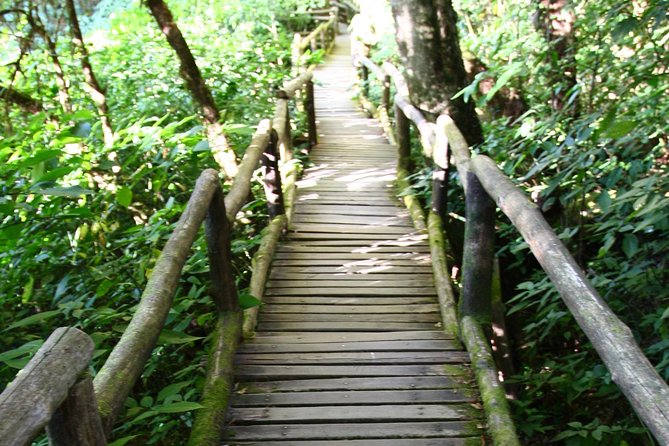 Doi Inthanon National Park including Lunch from Chiang Mai - From Chiang Mai to Doi Inthanon: the 8:30 plan