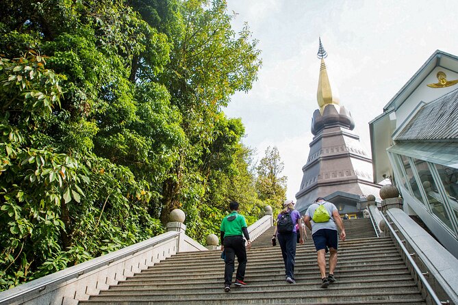 Doi Inthanon National Park Private Tour – Full Day - Sirithan Waterfall in the pine forest, and why access can change