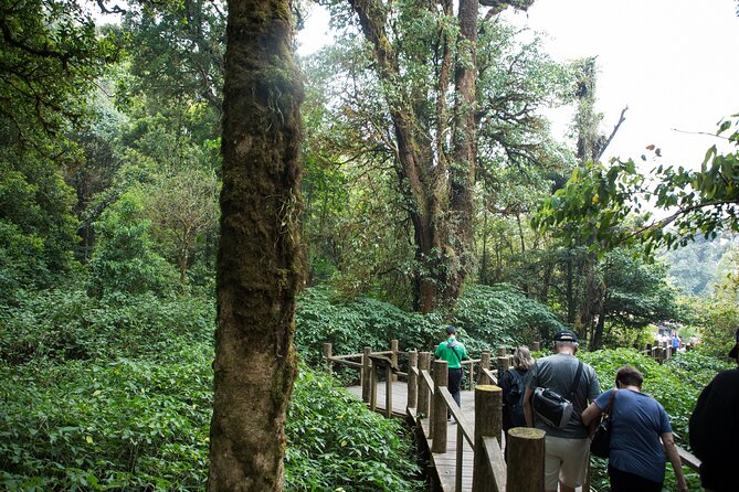 Doi Inthanon National Park Private Tour – Full Day - Wachirathan Falls first: mist, height, and a short focused stop