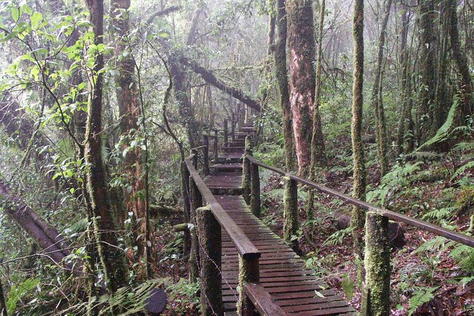 Doi Inthanon National Park - Thailand's Highest Peak - Wachirathan Falls: the mist stop that makes the day feel worth it