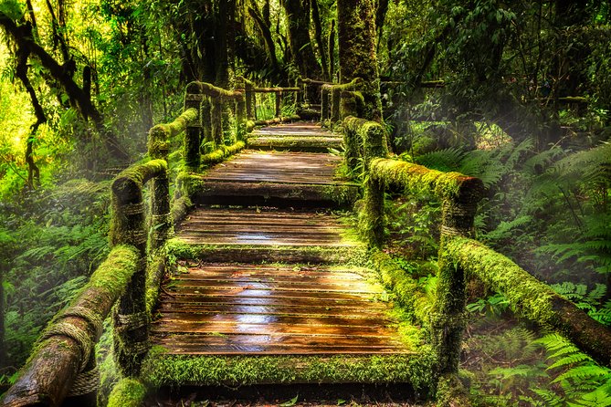 Doi Inthanon National Park - Thailand's Highest Peak - The Doi Inthanon summit shrine: spiritual effort without a long scramble