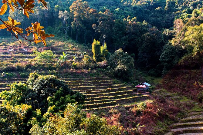 Doi Inthanon National Park, Waterfall & Royal Project Day Tour From Chiang Mai - Baan Mae Klang Luang hill tribe village: culture stop and the coffee that keeps it human