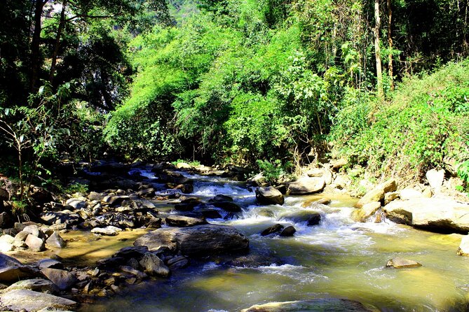 Doi Inthanon National Park, Waterfall & Royal Project Day Tour From Chiang Mai - Guides and drivers: what good ones do for your day