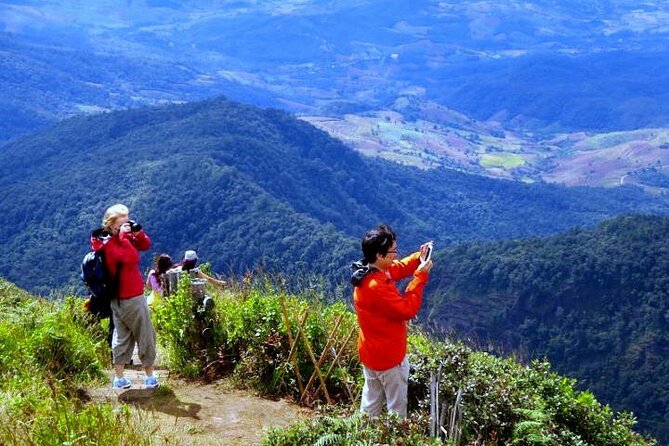 Doi Inthanon National Park with Nature Trail Trekking 1-Day Tour - Reaching the Doi Inthanon Summit: short walk, cold-to-fog odds