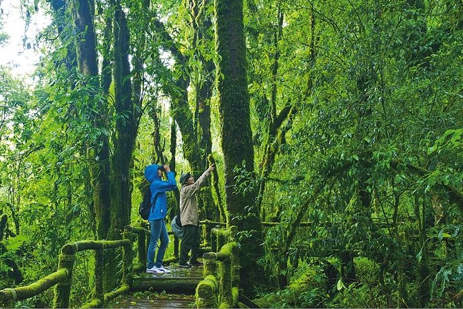 Doi Inthanon Waterfall and Royal Project Chiang Mai - Wachiratharn Falls: the splashy headliner