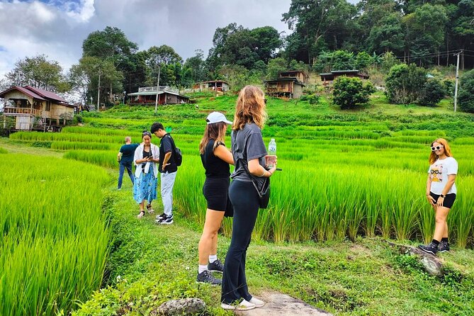 Doi Inthanon Waterfall and Royal Project Chiang Mai - Karen village visit and learning without turning it into a show