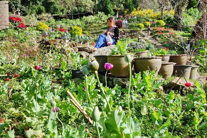 Doi Suthep and Hmong Hilltribe Half Day Tour in Chiang Mai - Stop 3: Doi Pui Mong Hill Tribe Village and Daily Life