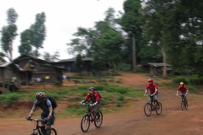 Doi Suthep National Park To Chiang Mai Beginner Downhill Mountain Biking - The Guide Team and the Pace: Small Group, Big Difference