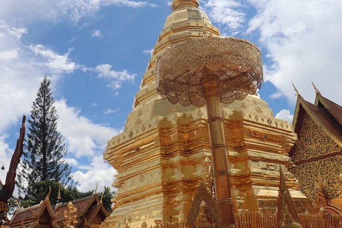 Doi Suthep Temple, Pha Lat Temple, Sticky Waterfall, Orchid farm - Doi Suthep at the top: pagoda, 306 steps, and big views