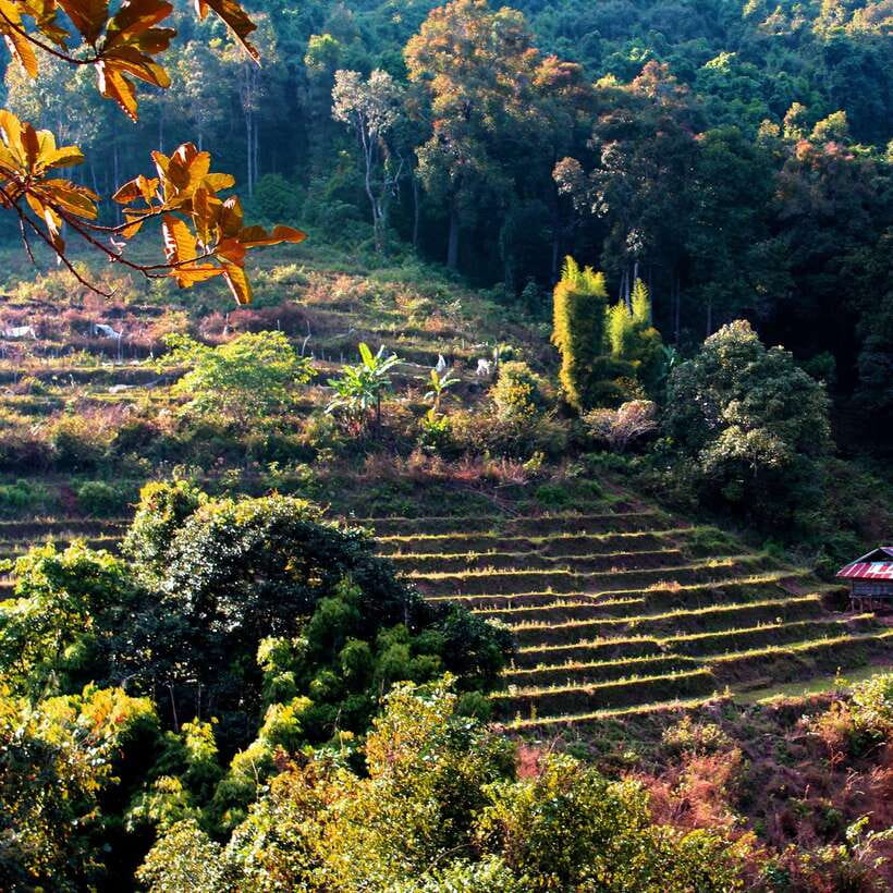 Eco-Friendly: Doi Inthanon & Pha Dok Siew Trekking Day Trip - Key things that make this Doi Inthanon day trip work