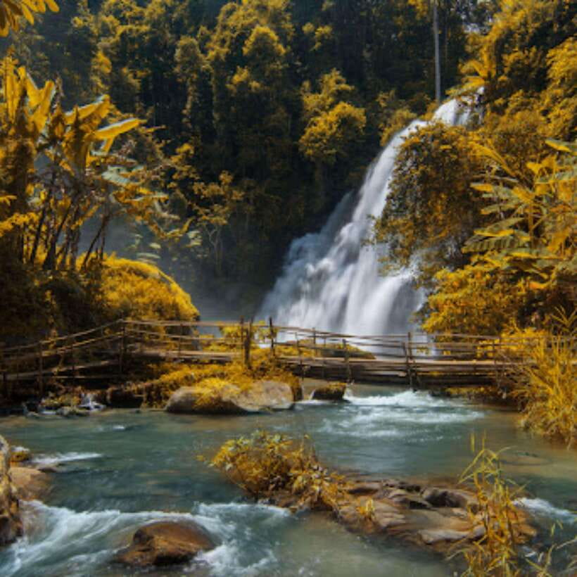 Eco-Friendly: Doi Inthanon & Pha Dok Siew Trekking Day Trip - Chiang Mai to Doi Inthanon: the mountain drive sets the tone