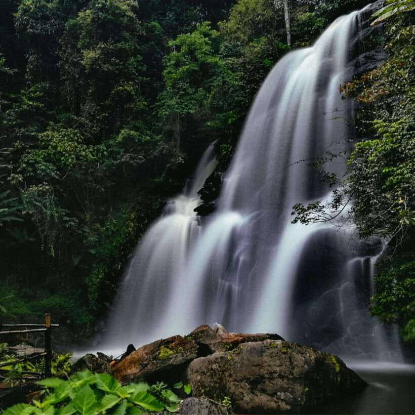 Eco-Friendly: Doi Inthanon & Pha Dok Siew Trekking Day Trip - Pha Dok Siew nature trail: what the 2-hour trek feels like