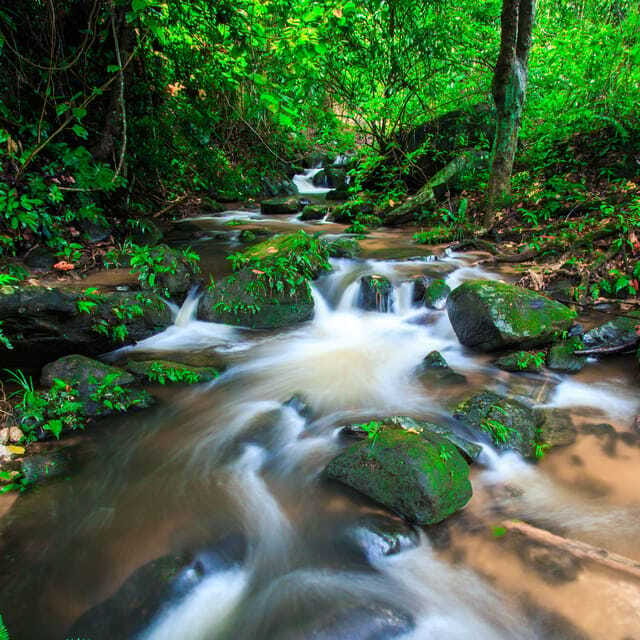 Eco-Friendly: Doi Inthanon & Pha Dok Siew Trekking Day Trip - Hmong market and Mae Klang Luang: culture stops that feel useful