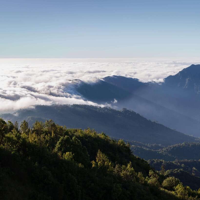 Eco-Friendly: Doi Inthanon & Pha Dok Siew Trekking Day Trip - Eco-Friendly in the real world: how to act in the park and villages