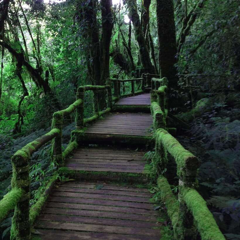 Eco-Friendly: Doi Inthanon & Pha Dok Siew Trekking Day Trip - What you really pay: $54 plus the entrance fees that add up