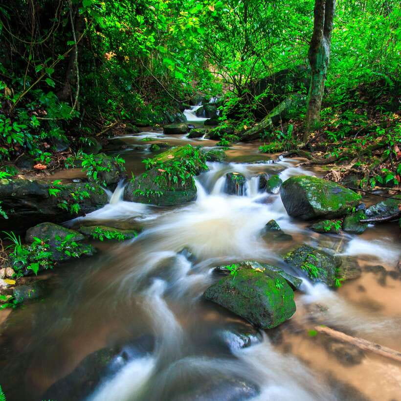 Eco-Friendly: Doi Inthanon & Pha Dok Siew Trekking Day Trip - Thailand’s highest spot and the King and Queen pagodas