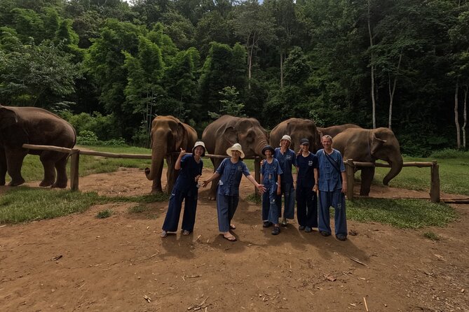 Elephant care program at CHIANGMAI ELEPHANT CARE - Lunch at the Right Time, Plus Mud and Bugs to Plan For