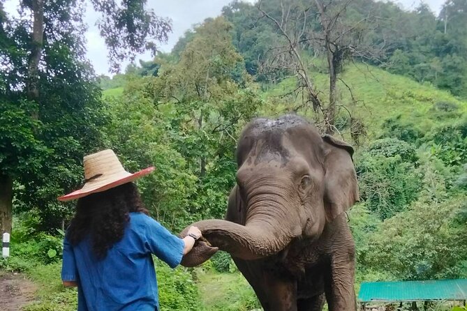 Elephant Experience and Hidden Jungle Waterfall Chiang Mai - Mae Taeng hidden waterfall: short hike, quick swim, and natural rock slides