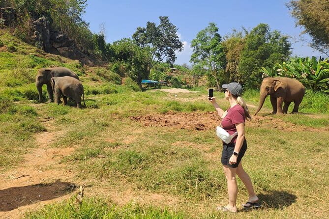 Elephant Sanctuary, Wat Ban Den & Sticky Waterfall - Bua Tong Sticky Waterfall (Nam Phu Chet Si): the “climb” is the point