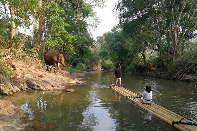 Elephant Sanctuary + Waterfall + Bamboo Rafting One Day Trip - Key Things You Should Know Before You Go