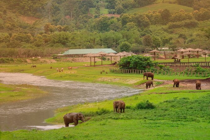 Elephant Sanctuary + Waterfall + Bamboo Rafting One Day Trip - The Mae Wang Day Trip, Timed for Real-Life Chiang Mai