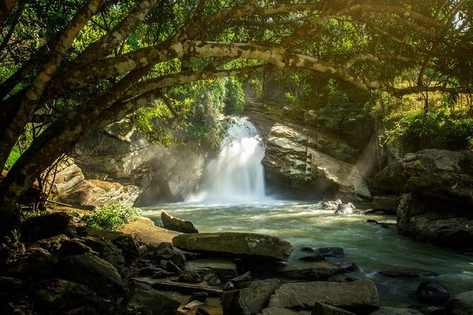 Elephant Sanctuary + Waterfall + Bamboo Rafting One Day Trip - Mae Wang Waterfall: Swim Break at a Single-Tier 20 Meters Tall