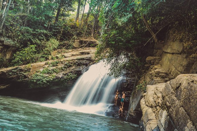 Elephant Sightings , Bamboo Rafting Through The Jungle, Swimming In a Waterfall - Price and value: what $97.50 buys you in practice
