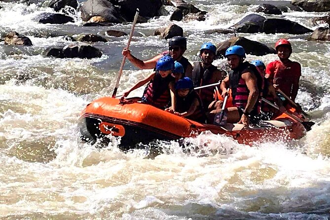Ethical Elephant Visit and White Water Rafting in Chiang Mai - From Camp to Mae Taeng River Rafting (Expect Real Water Time)