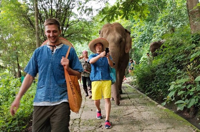 Ethical Elephant Visit and White Water Rafting in Chiang Mai - Lunch at a Family-Run Restaurant (Vegetarian Options Included)
